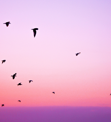 Sky-Outdoor-Nature-Inspirational-Quote-Desktop-Wallpaper-1.png